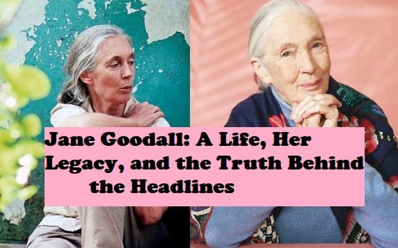 Screenshot 2025 10 01 231337